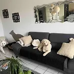 Avec Vue Panoramique Sur La Cite Medievale Bed & Breakfast 3*