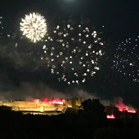 Avec Vue Panoramique Sur La Cite Medievale Carcassonne