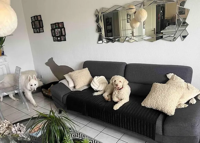 Avec Vue Panoramique Sur La Cite Medievale Bed & Breakfast 3*