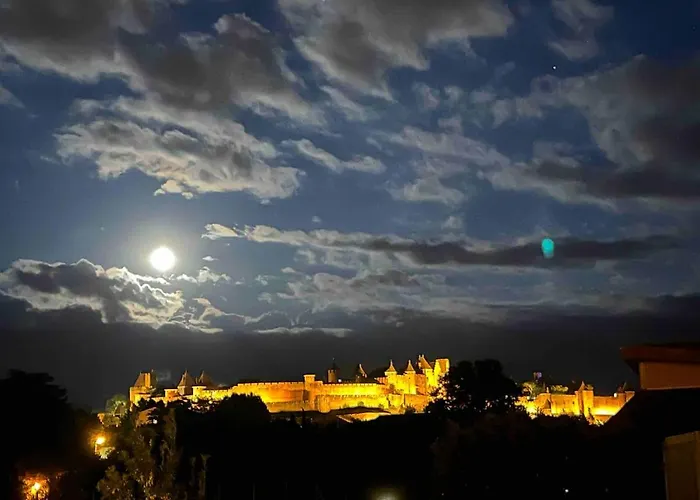 Avec Vue Panoramique Sur La Cite Medievale 3*