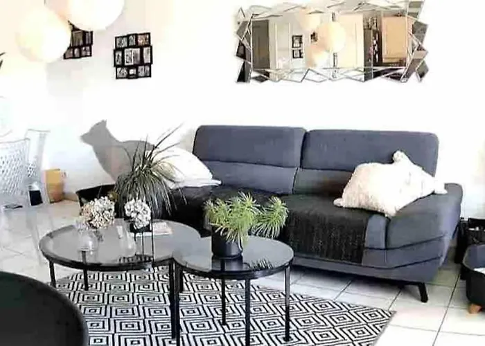 Avec Vue Panoramique Sur La Cite Medievale Carcassone