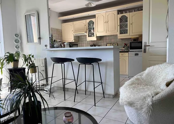 Avec Vue Panoramique Sur La Cite Medievale Carcassonne