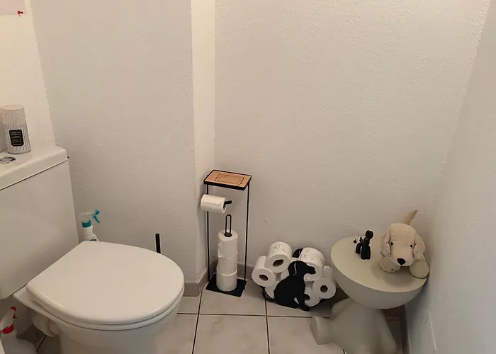 Avec Vue Panoramique Sur La Cite Medievale Carcassonne